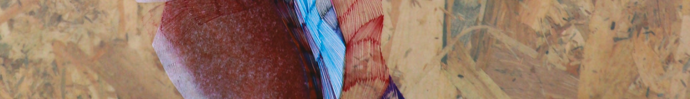 Œuvre abstraite aux formes organiques rouges et blanches